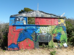 p2330007