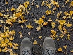 pxl20251218223557759r