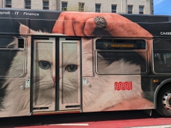 pxl20260227220404420