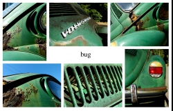 bug_mosaic