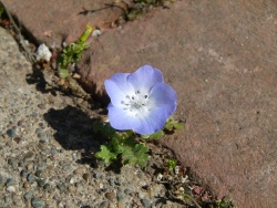 p2340251