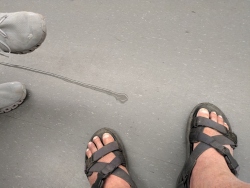 pxl20260326172056246