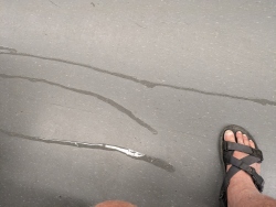 pxl20260326172232655