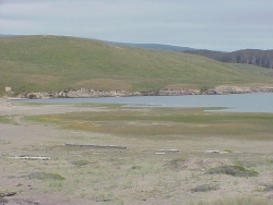 previous