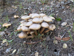 pxl20251126221927257