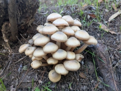 pxl20251126221959583