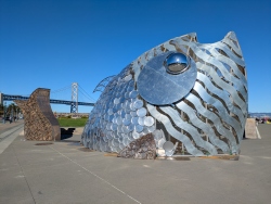 pxl20251027220655282