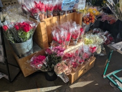 pxl20251228232736040