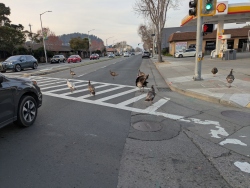 pxl20260131010425493