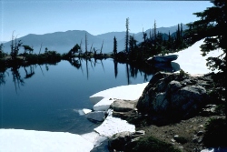 d0354i0063