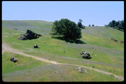 previous