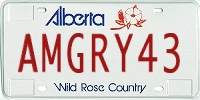 license